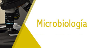 Banner Microbiología experimental
