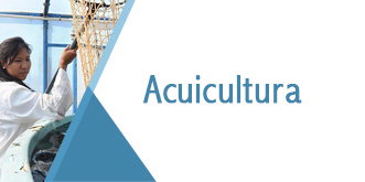 Banner Aquicultura